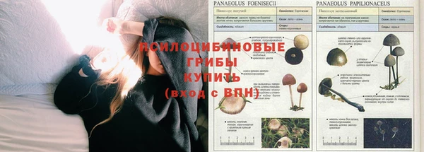 кокаин колумбия Навашино