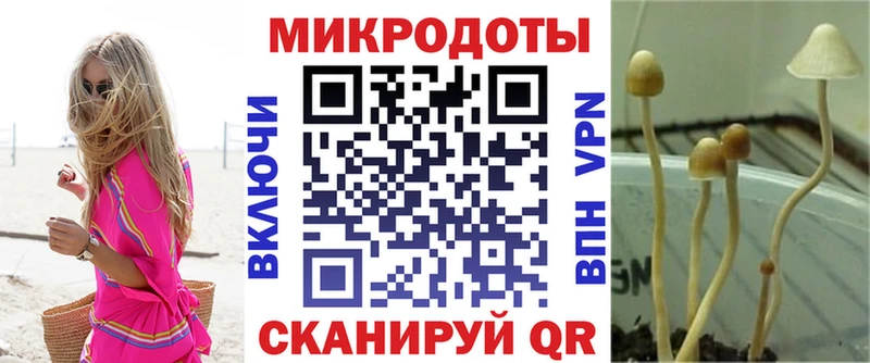 Псилоцибиновые грибы Psilocybine cubensis  наркотики  Прокопьевск 