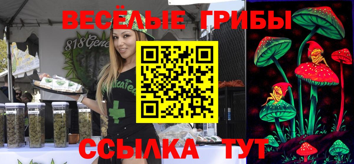 Галлюциногенные грибы GOLDEN TEACHER Прокопьевск