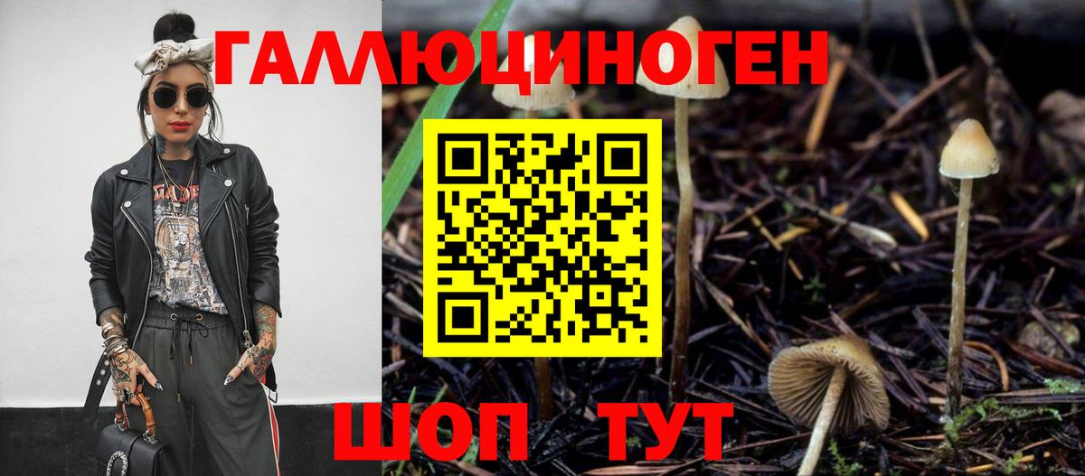Галлюциногенные грибы мицелий Прокопьевск