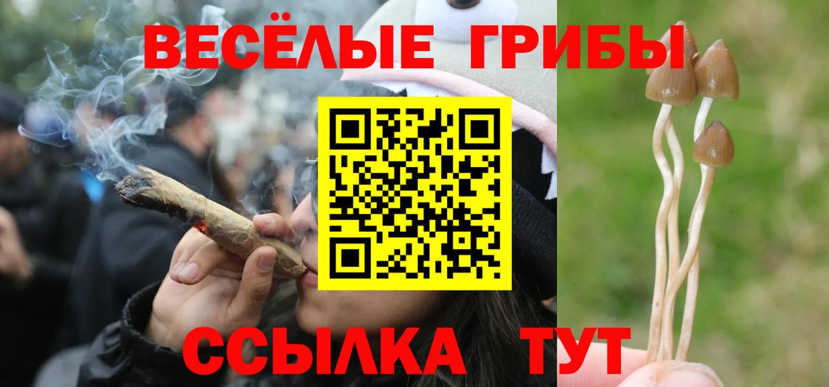 как найти наркотики  Прокопьевск  Галлюциногенные грибы MAGIC MUSHROOMS 